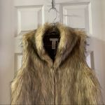 Kenar NWT  Tan/Brown Faux Fur Sleeveless Vest Large Photo 7