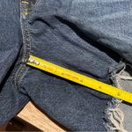 Everlane The Denim Short Size 28 Photo 6
