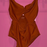 Aerie  Terracotta One Piece‎ Swimsuit Photo 0