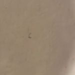 Valentino Garavani Valentino dust bag Photo 2