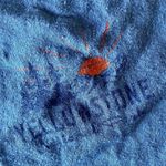 Retro Cropped Yellowstone National Park Outdoor Cotton Crop T Photo 2