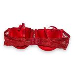 Inteco Intimates Womens Bra Sz 34B Red Lace Push Up Padded Photo 1