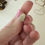 Kendra Scott  Earrings Gold Photo 0