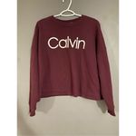 Calvin Klein  Garnet Semi Cropped Crew Neck Sweatshirt Size Large Photo 1