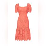 Saylor  Louisa Lace Midi Dress Size XL Coral Wedding Guest Event Party Formal Photo 6