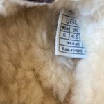 UGG  Brown Dakota Wool Lined Slippers Size: 6 Photo 7