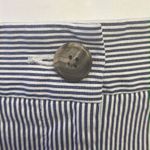 Lands' End Land’s End Blue and White Vertical Striped Fit 2 Cropped Cotton Blend Pants- Siz Photo 5