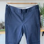 Banana Republic Navy Blue Hampton Pant Size 10P Photo 3