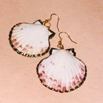 Seashell Earrings Gold Photo 0