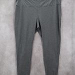 Terra & Sky  Gray Stretch Skinny Leggings Pull On Pants Plus 20W 22W 2X Photo 0