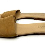Nisolo Isla Brown Suede Slide Sandals Women's 7.5 US Photo 1