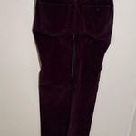 New York & Co. Corduroy Pant Purple Photo 5