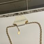 CRAZY HORSE CH  by Liz Claiborne SOCIAL OPAL Necklace Gold Tone Chain $22 Photo 2