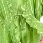 Notations Vintage Y2K  Tie Front Green Striped Ruffle Sheer Blouse Overlay Size M Photo 4