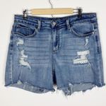 Judy Blue  Eyelet Patch Mid-Rise Distressed Shorts Light Wash Size 2XL Photo 0