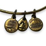 ALEX AND ANI  Energy Womens Bangles Charm Bracelets Set of 2 Fashion Jewelry Photo 12