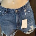 KanCan USA  Shorts Photo 0