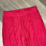 ZARA  Sheer‎ Pleated Ruffle Wide Leg Pull On Pants Pink Medium Flare Naked Photo 8
