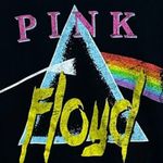 Pink Floyd  Black Band Tee size M Photo 6