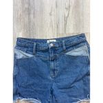 Madewell  Size 30 High-Rise Long Denim Shorts: Contrast Yoke‎ Edition Photo 3