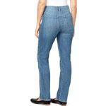 Gloria Vanderbilt  Size 8 Average Women's Amanda Tapered Leg Classic Jeans Photo 1