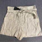Rag and Bone Striped Linen Cargo Shorts Photo 0