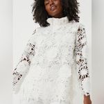 Tuckernuck White Guipure Lace Faye Blouse Ruffle Collar Bow Preppy Womens XS Photo 0