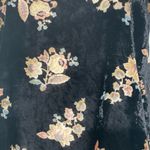 Adyson Parker  Black, cream, pink, light blue Velvet / Sheer Top Size 1X Photo 4