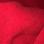 Antigua vintage ohio state jacket Photo 5