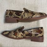 Madewell  The Frances Loafer in Snake Embossed Leather Photo 4