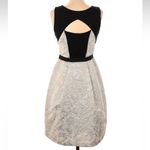 Yoana Baraschi  Blue Ivory Jacquard Fit & Flare Textured Cocktail Dress Size 2 Photo 1