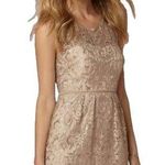 Jenny Yoo Harlow BHLDN Lace Knee Length Cocktail Dress Women's 8 Sandstone Tan Photo 0
