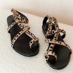 Jenni Kayne  Pony Hair Strappy Sandals in Cheetah Size 38 US 8 NEW Photo 2