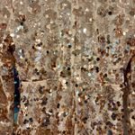 NYE Champagne, Rose Gold Sequin V Photo 9