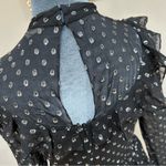 Robert Rodriguez  Black Label Women's Silver Silk Sheer High Neck Blouse Size 0 Photo 5