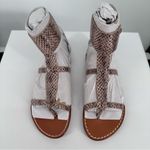 Sam Edelman Women’s Mollie Gladiator Sandals in Sesame Snakeskin size 5.5 NEW Photo 3