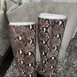 Vince Camuto  Taupe Snake Gravana Knee High Boot Photo 5