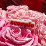 Shoe Charm, Scorpio Photo 0