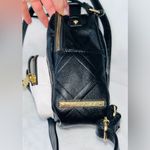 Betsey Johnson Mini Dog Backpack Photo 4