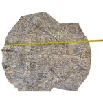 Chico's  Women's Gray Snake Print Button-Up Shirt Size 1 Casual Photo 5