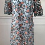 Anthropologie  Moulinette Soeurs Floral Embroidered Mesh Tunic Sky $130 XS Photo 0