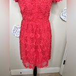 Romeo + Juliet Couture NTM: NWT Coral Crochet Short Sleeve Knee Dress Sz M Photo 10