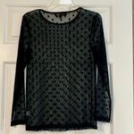 Liv By Habitat Clothes Mesh Sheer Long Sleeve Polka Dot Top Small Black Photo 2