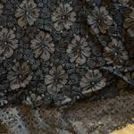 American Eagle Outfitters Black Lace Shirt Photo 3