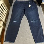 Warp + Weft JFK New York City Skinny Jeans Blue Size 22W Photo 0