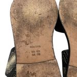 Vince  Mailin Snake Embossed Ankle Wrap Flat leather Sandal Sz 6.5 Statement Chic Photo 10