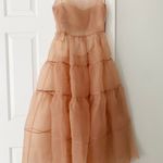 Anthropologie Oh Seven Days Organza Sheer Midi Dress, Size M Photo 5