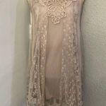 Altar'd State Altar’d State Blush Lace Overlay Dress M Lined S Boho Cottagecore Coquette Girl Photo 0