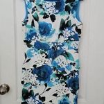 Dress Barn Dress size 6 floral women's outfit Photo 0