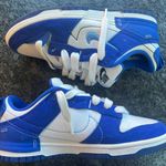 Nike Dunk Low SB Disrupt 2 Photo 4